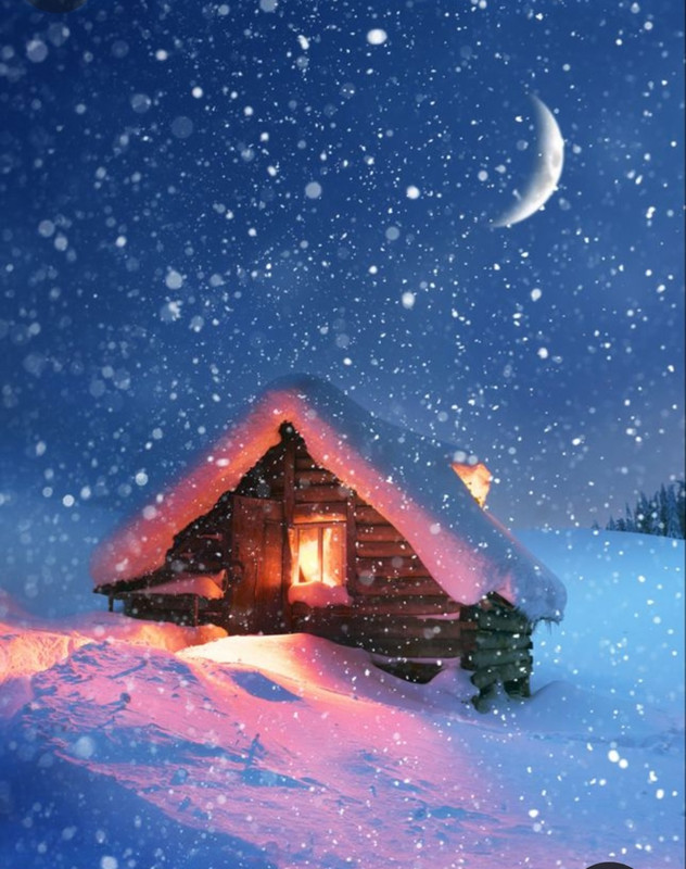 Screenshot_20231219_212302_Pinterest