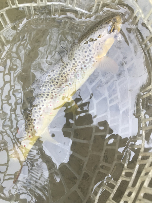 624B1F12-B749-4240-8FEA-A3A903D3FCC6