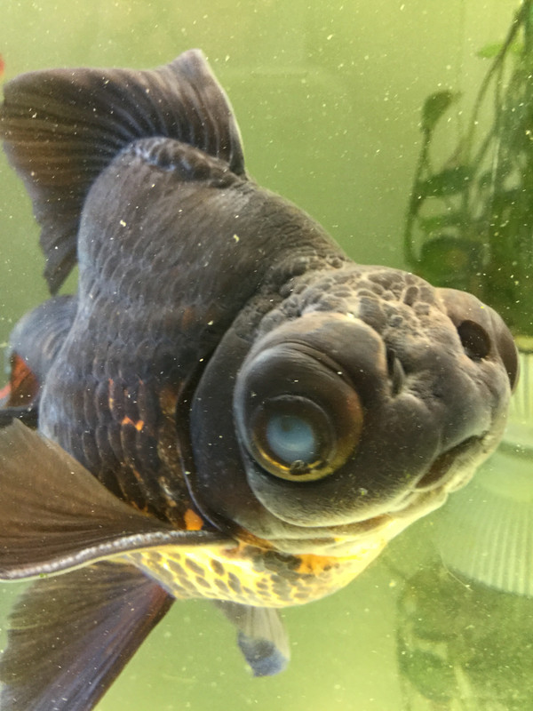 43C2F77D-330E-493E-9430-586CB6A96474