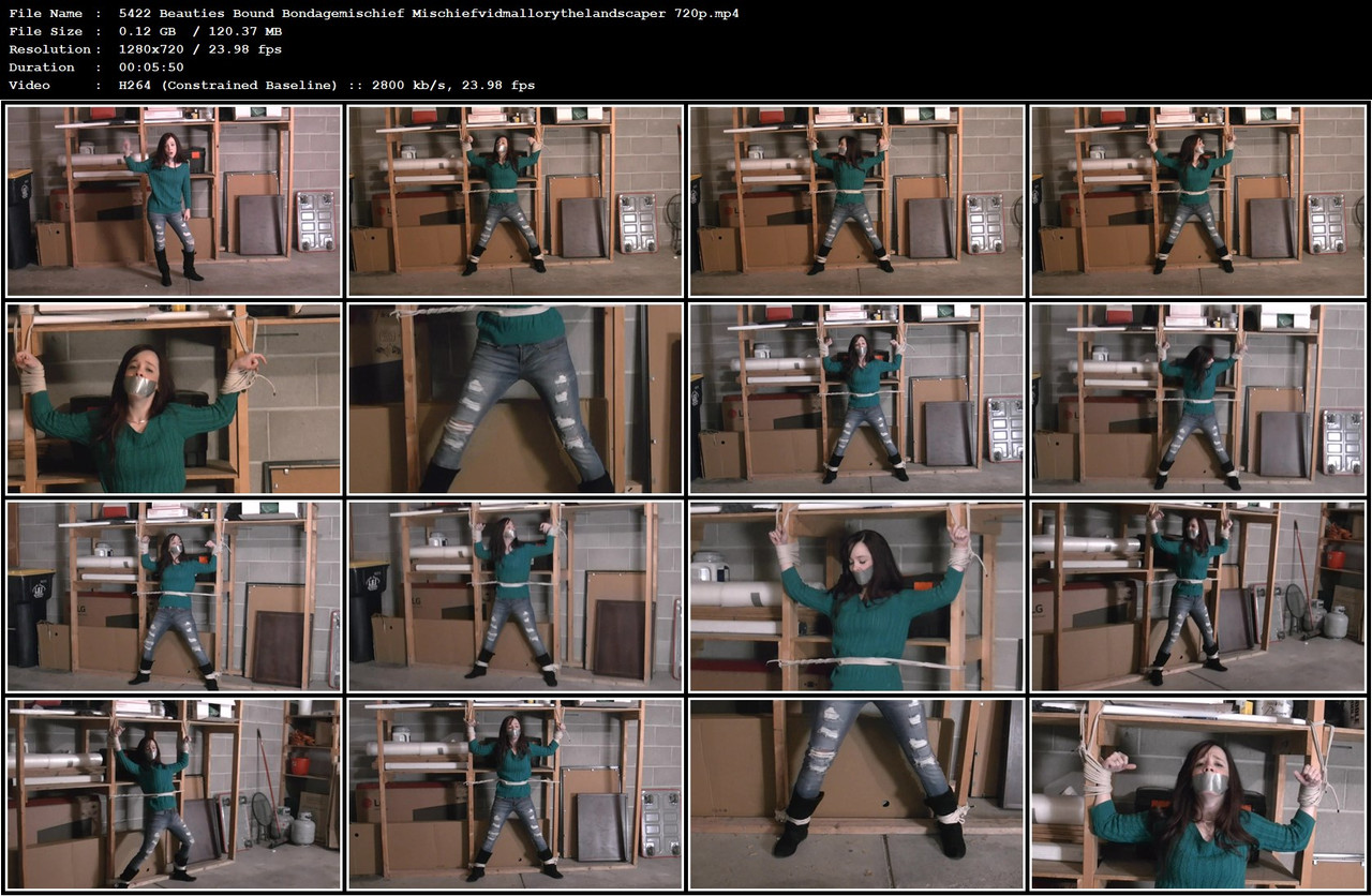 5422 Beauties Bound Bondagemischief Mischiefvidmallorythelandscaper 720p mp4