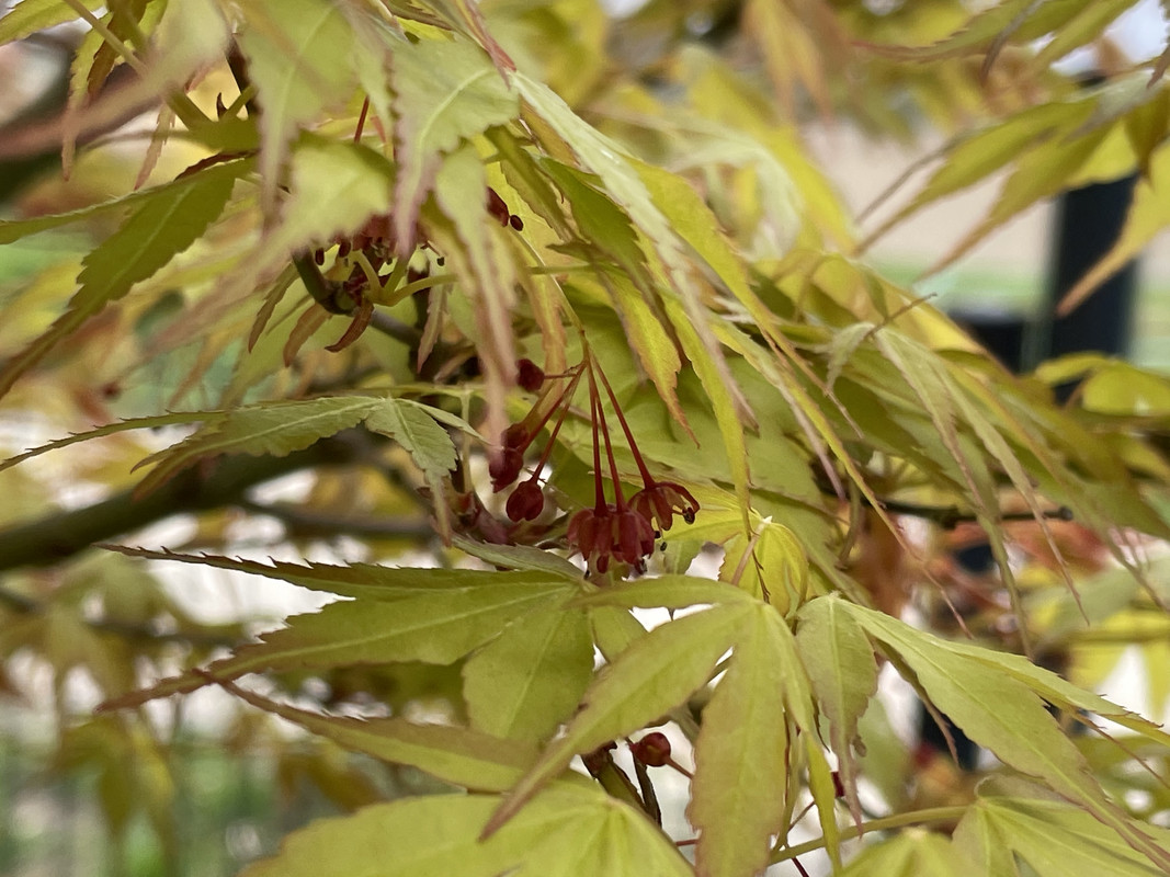 16963158-286A-4FF4-9D69-F7B2023943E4