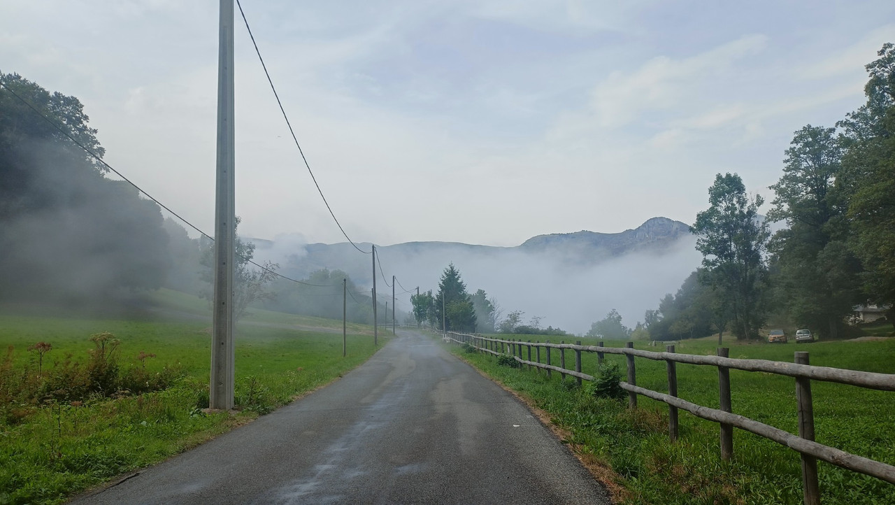 IMG20250818151515 (Large)