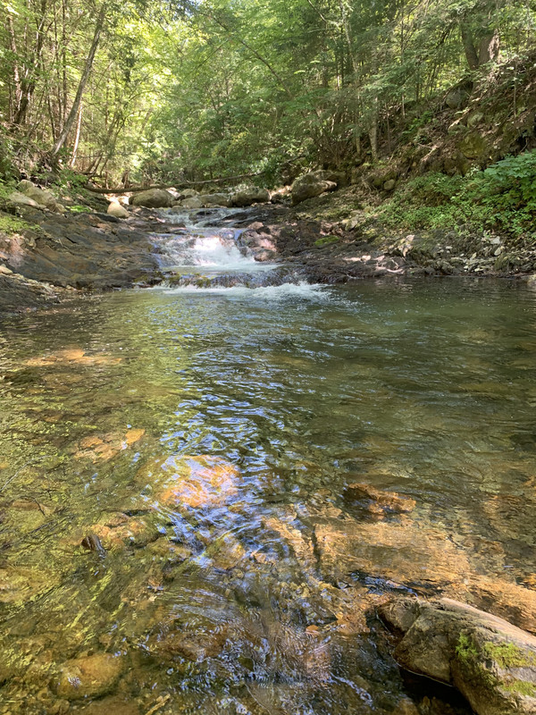 3ADE44D7-8E8B-4357-8EEA-58D240F4C82D