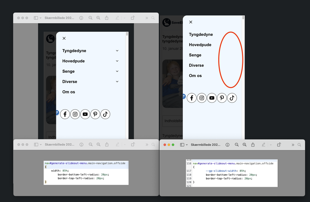 Skærmbillede 2024-03-01 kl. 14.09.51