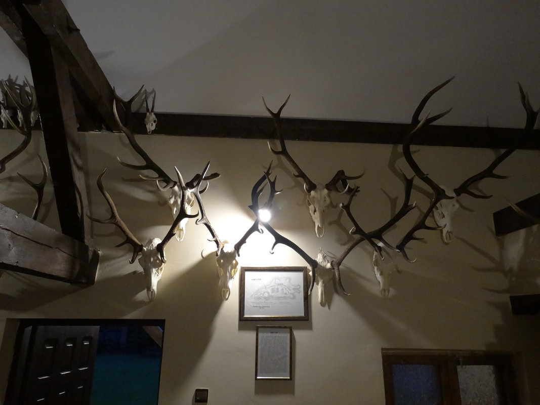 002 - DSC03914 (Czesio1)