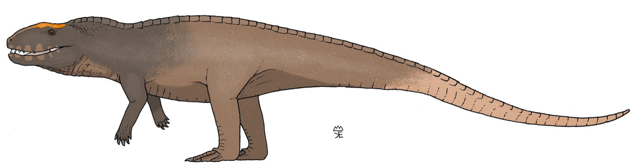 teratosaurus rhaetian triassic