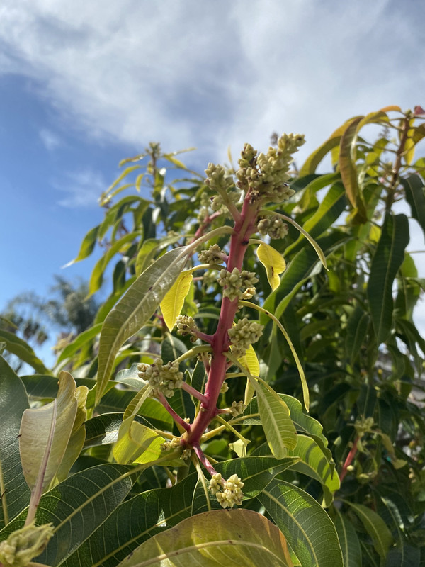 4B6FEBBC-10EE-4795-9891-E8B42AE5C3BA