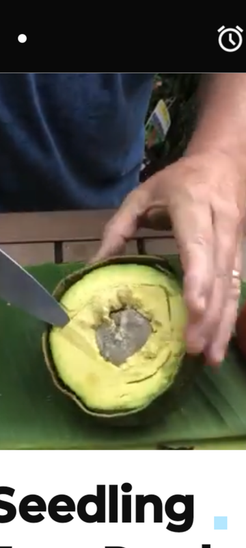 Screenshot_20241130-231211