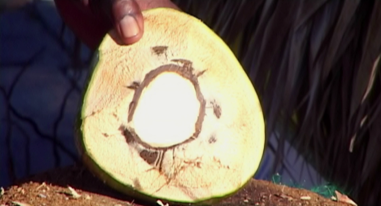 vlcsnap-2023-02-08-19h22m57s757