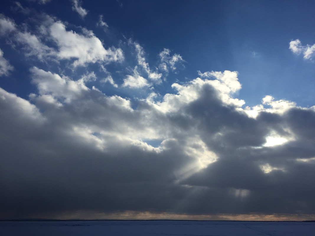 5B6A17B7-4FBB-4C6A-9025-E353301100AE