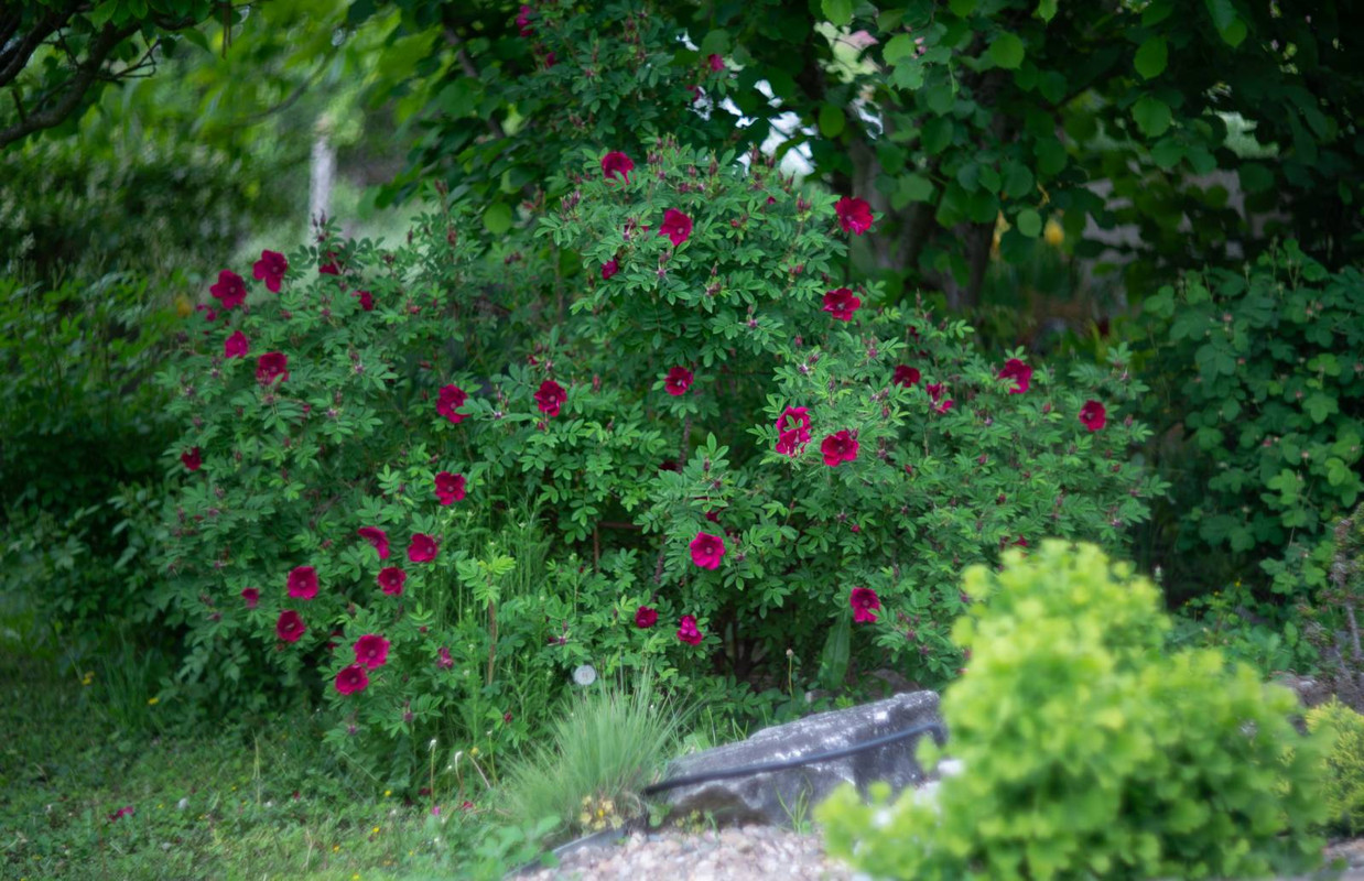 IMG-d28fade0d5ea8da4788c94636a9d1111-V