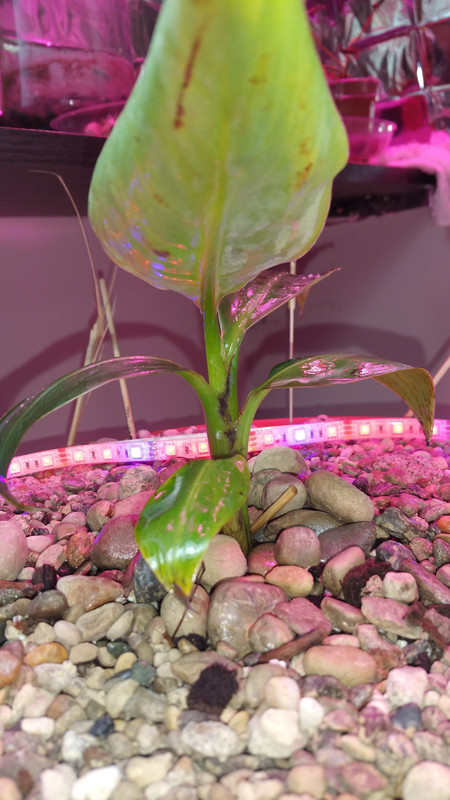 20150507_180911
