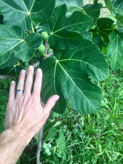 15839446-4C8D-4F7F-9017-31AFF9822B92