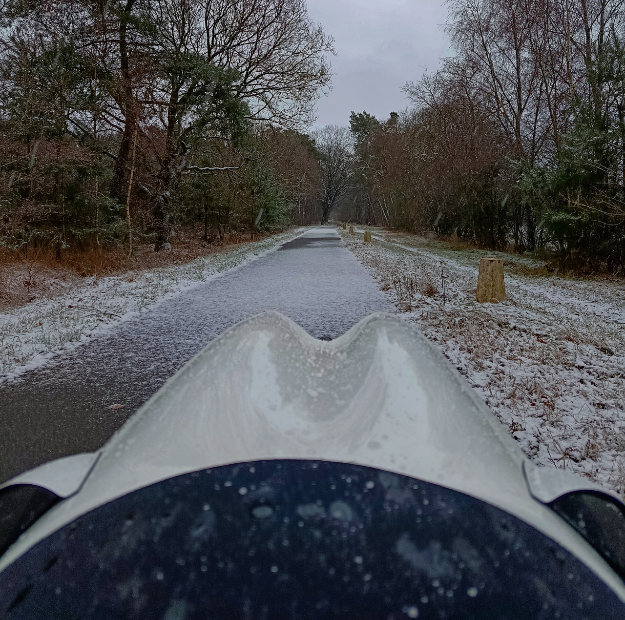 [Afbeelding: 1000040659.jpg]