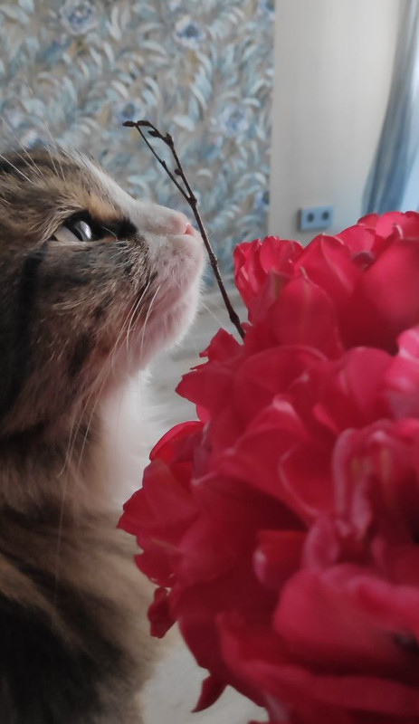 IMG_20230308_125534_350_edit_410633399915020