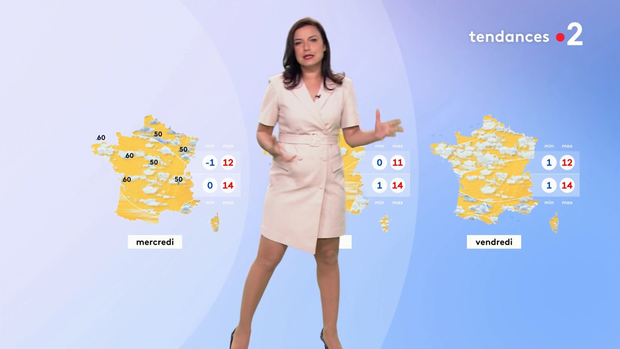 2021-04-11_20_50_Fr2_Meteo.mp4_snapshot_14.08.498