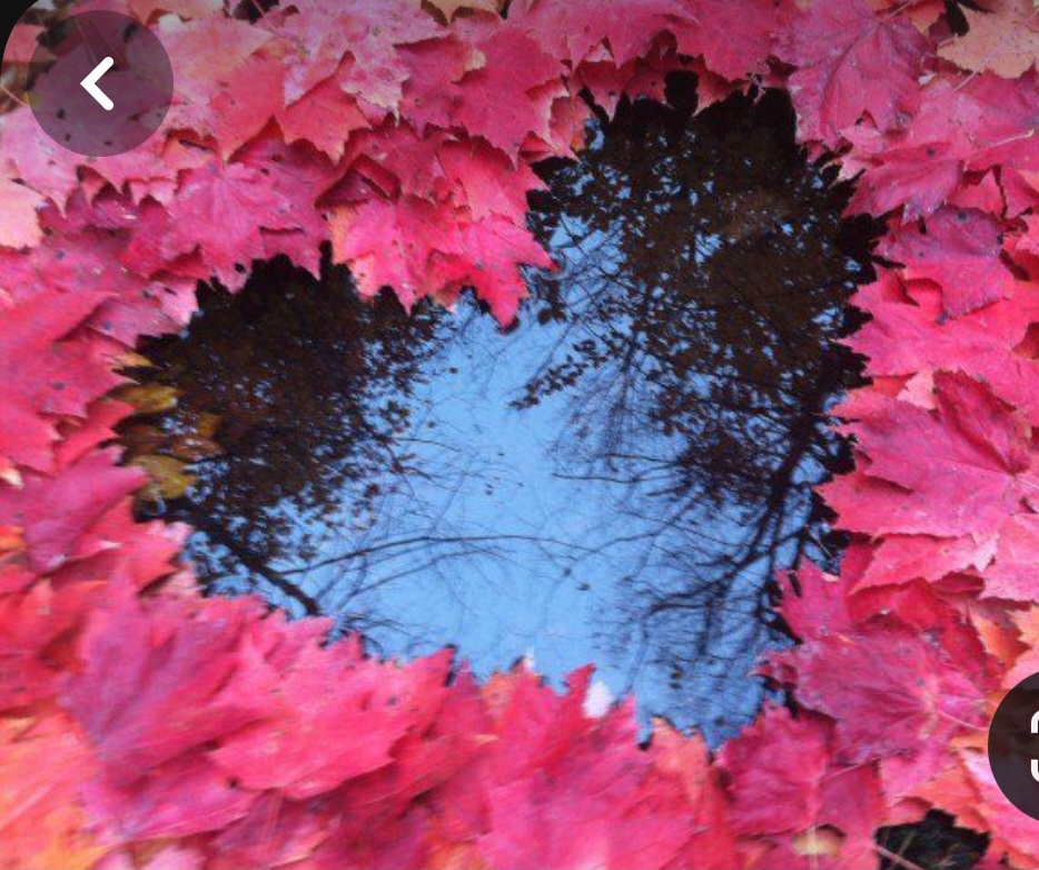 Screenshot_20240210_225630_Pinterest