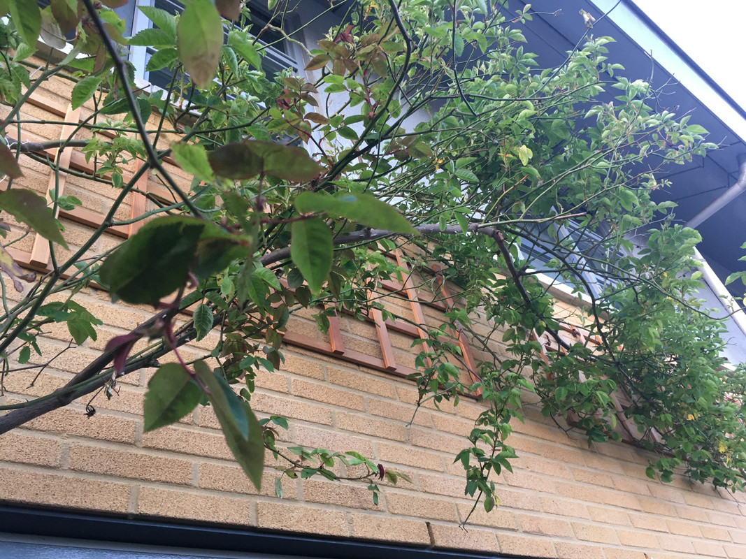 07900B19-4E07-420D-8401-0510AF7A8317