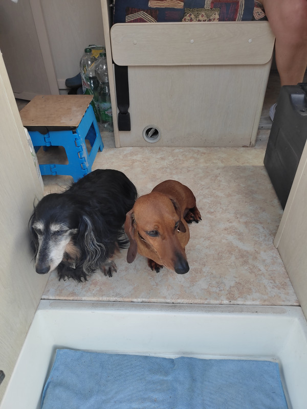 [Image: IMG-20240515-183555.jpg]