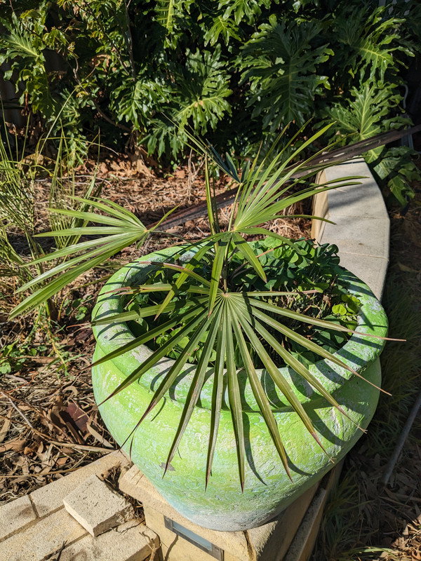 PXL_20240603_040130570