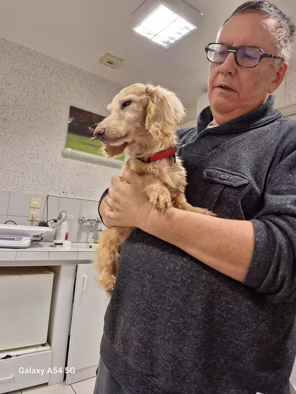 [Image: 20241031-174649.avif]