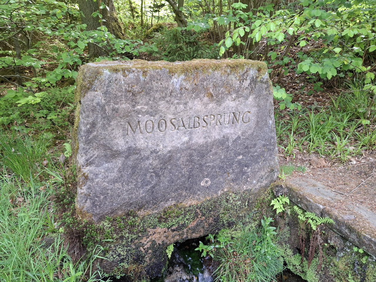 20260510-111028.jpg