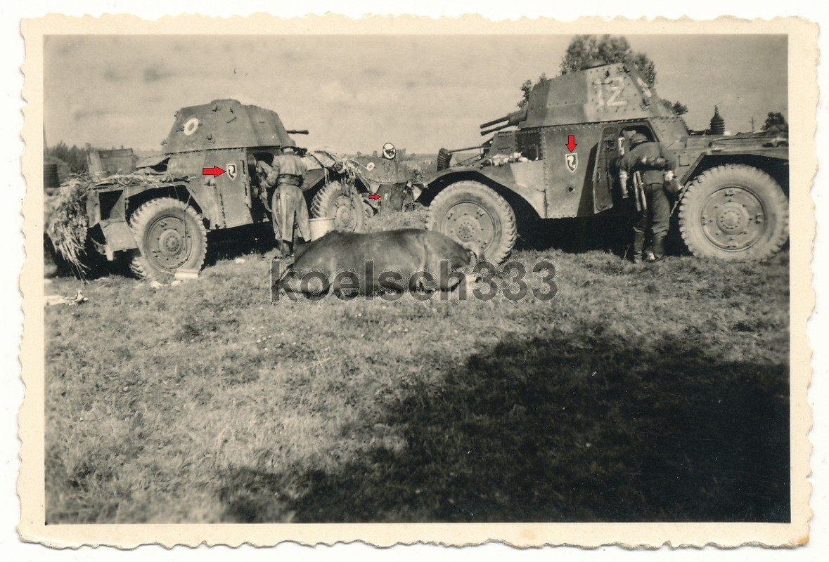 Foto Panhard Rad Panzer Wracks französische Kenn