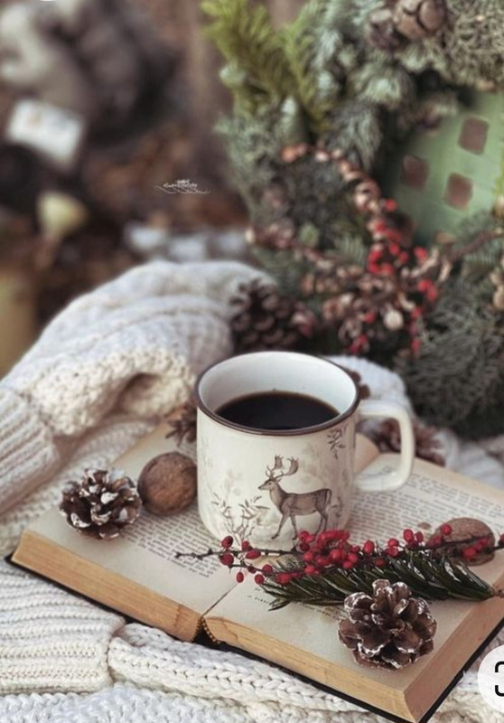 Screenshot_20221227_015922_Chrome