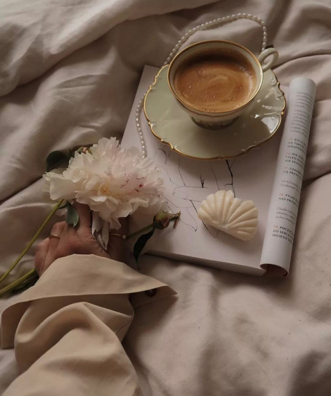 Screenshot_20231210_165656_Instagram