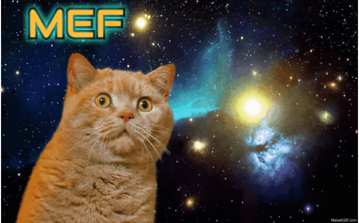 GIF-20250825-071112-937.gif