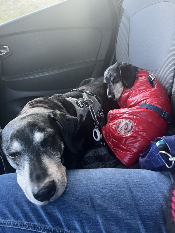 [Image: IMG-0212.jpg]