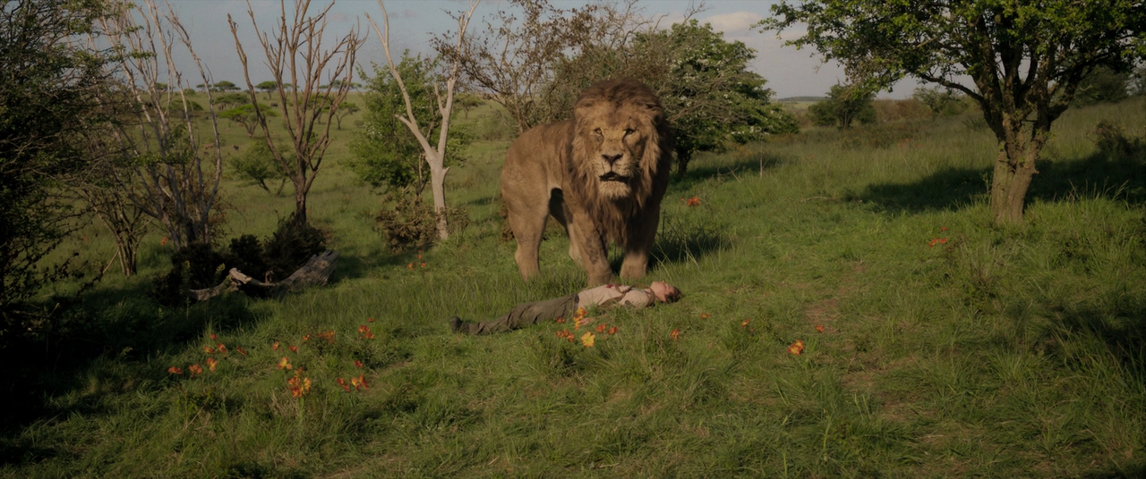 vlcsnap-2025-03-24-21h34m22s343