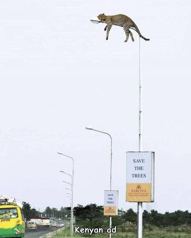 picdump-kw40-2021-040.jpg