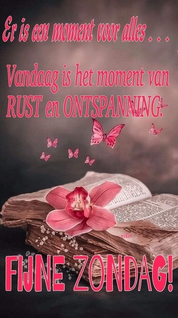 zondag1