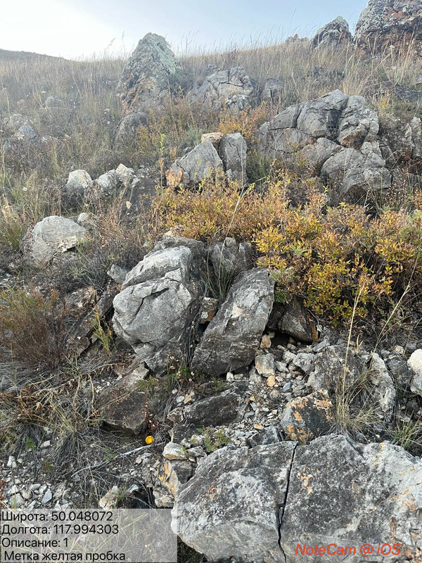 IMG_20250929_232058_489