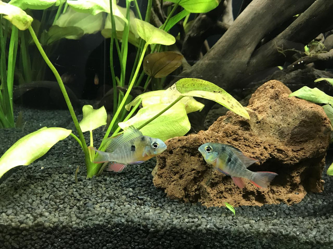 8983C9A2-6EA0-421D-8474-54976EF3E80D