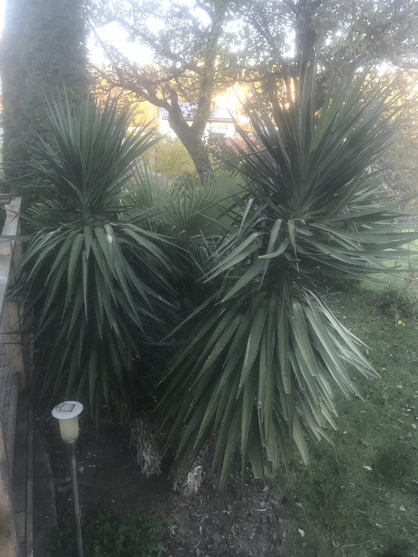 AD9CB3EC-E09C-4A00-B36E-455FDBE8A99C