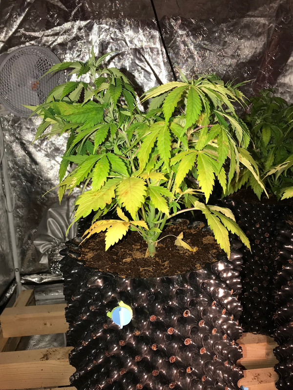 F6ED864A-D0FD-4C38-B14A-1E7AE3985F0C