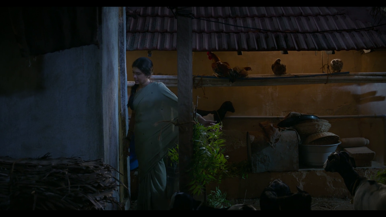 vlcsnap-2025-04-24-21h06m00s252