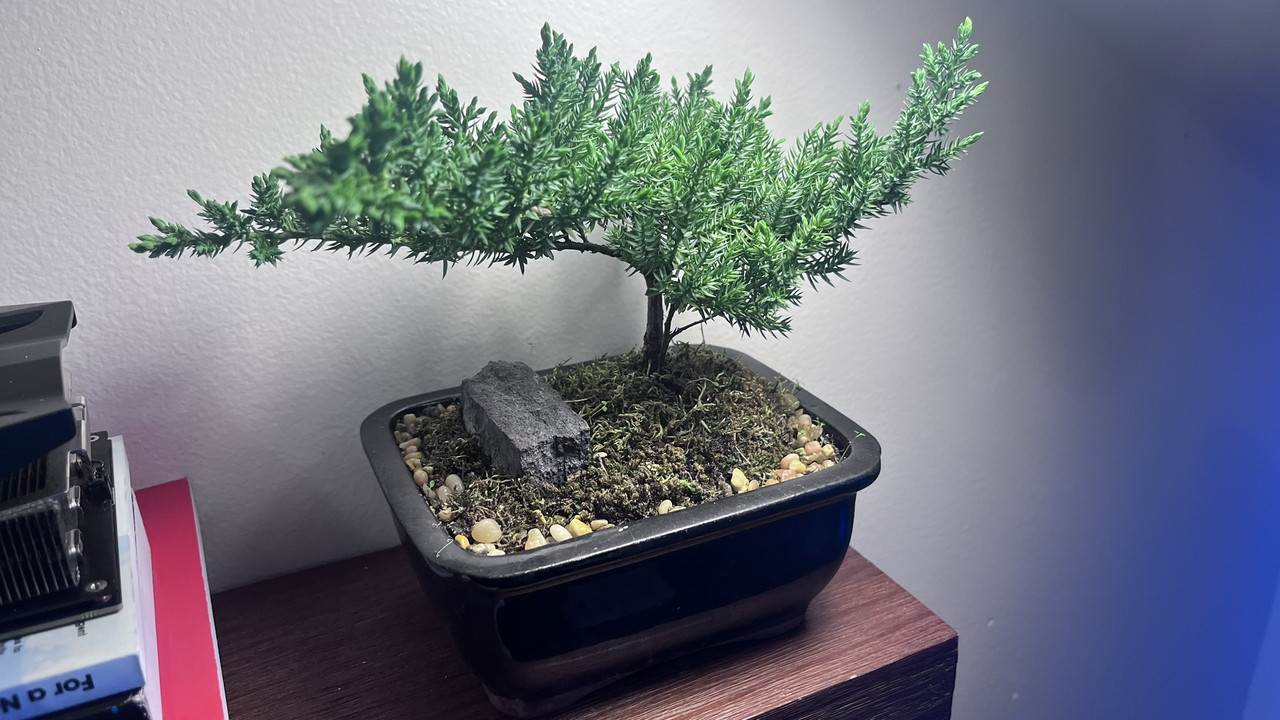 D77764FA-500B-45F2-A4BA-B455E995D99E_1_102_a