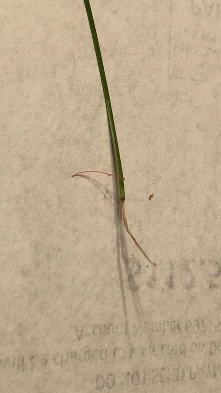 IMG 3030 — Postimages