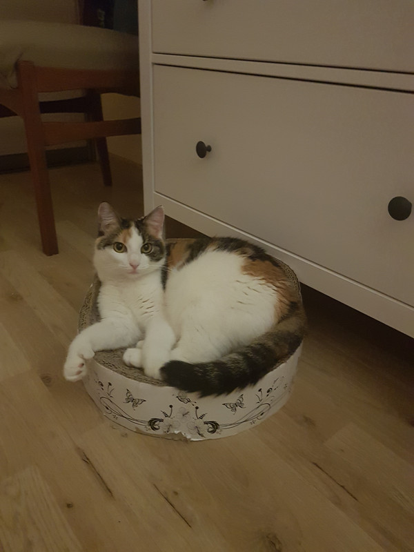 20191024-204742.jpg