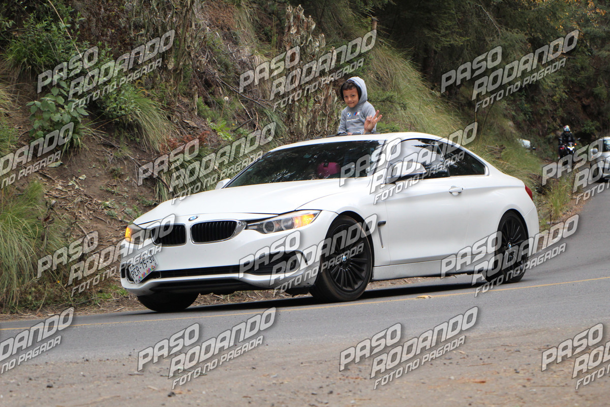 IMG 6027 wm 5641568 9 watermarked — Postimages