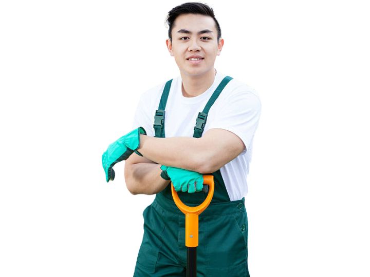 Tree Services Contractors in Anniston, AL