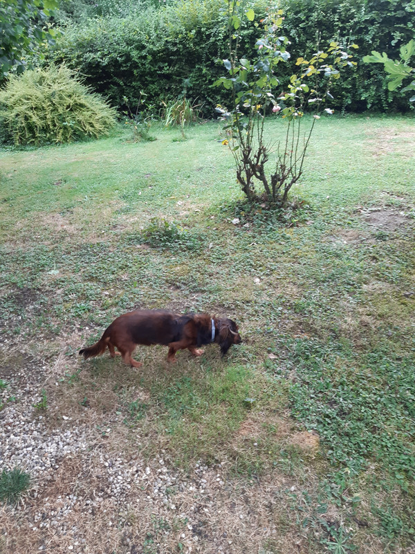 [Image: 20200715-171646.jpg]