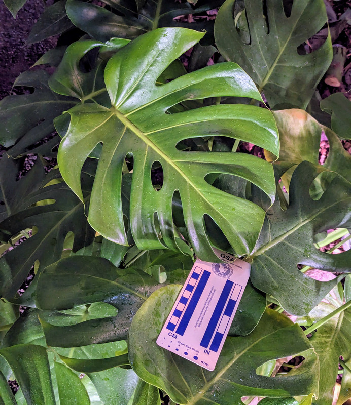 PXL_20240219_063236393