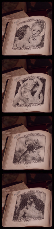 разновидности цветка персика