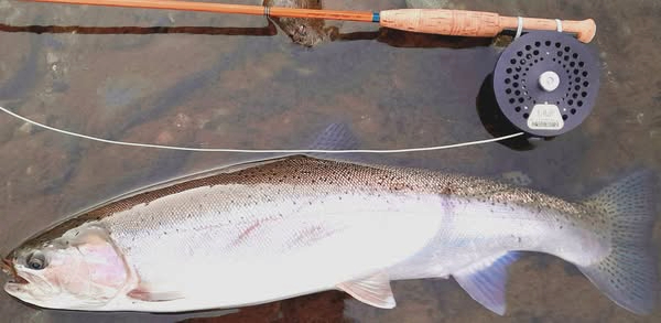 515196859_23958776330443296_835775770415217761_n