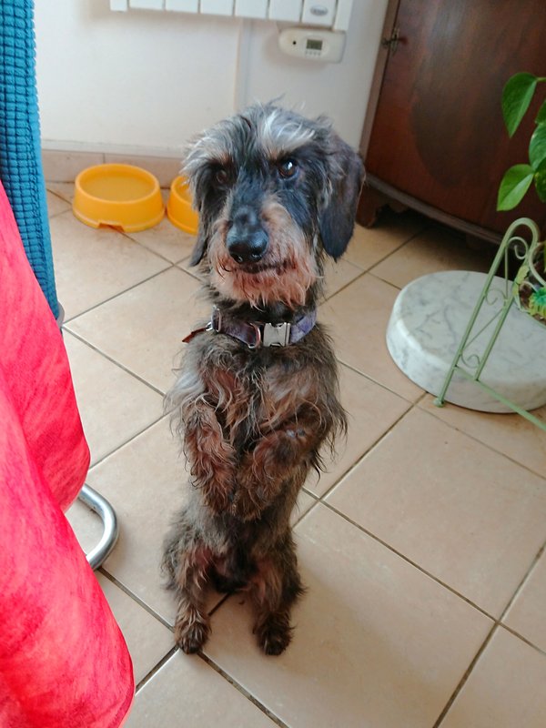 [Image: DSC-2516.jpg]