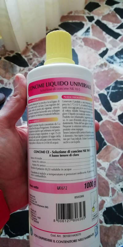 photo_2019-03-15_14-38-29